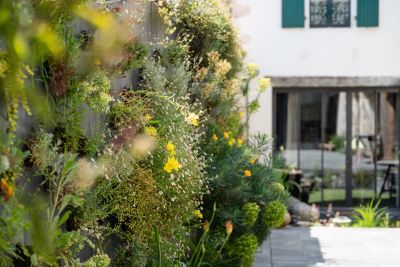 Vente Maison de prestige Sainte-Marie-de-Ré 10 Pièces 302 m²