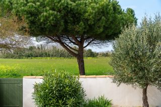 prestigious house 4 Rooms for sale on ST MARTIN DE RE (17410)