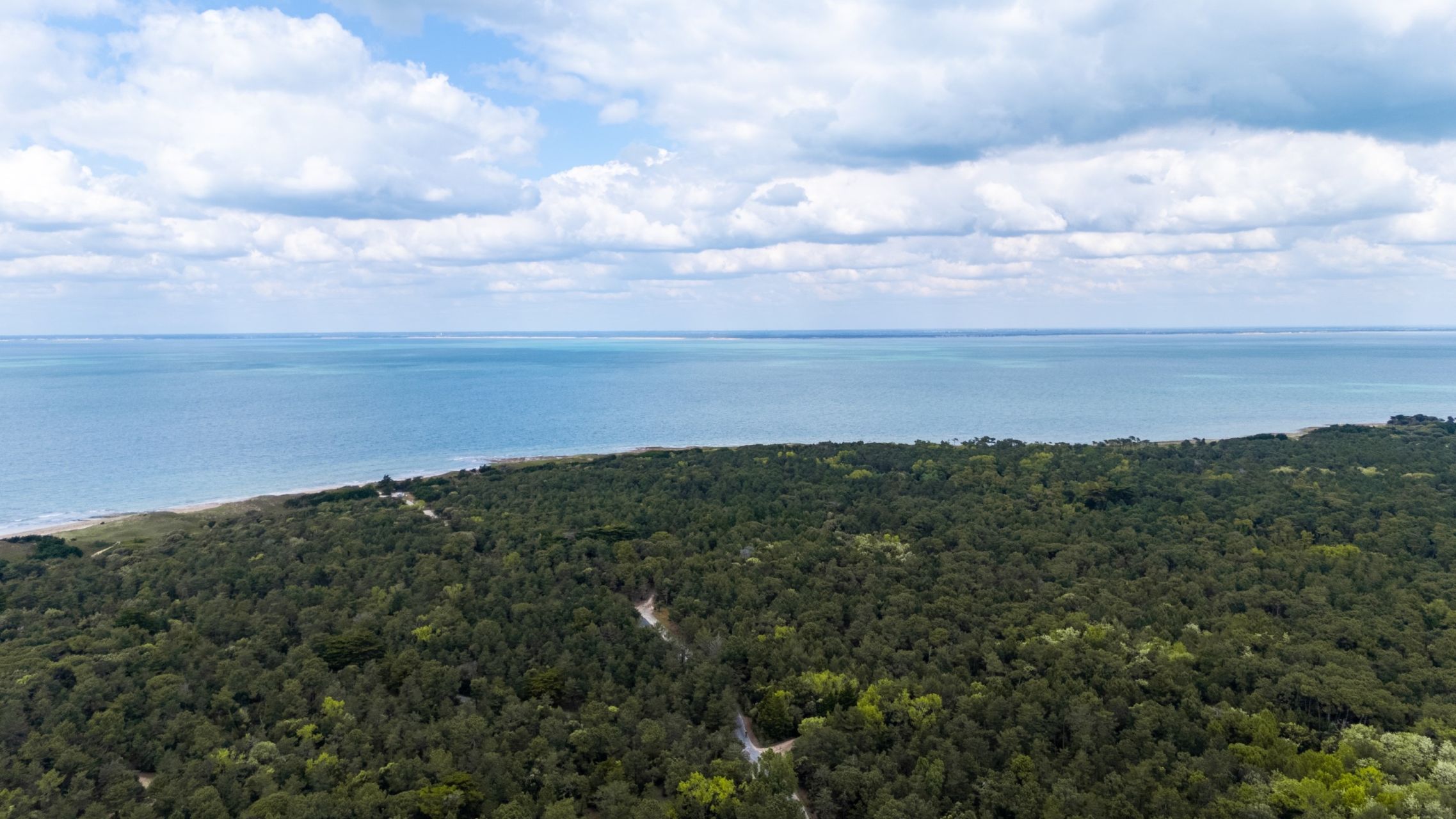 prestigious house 6 Rooms for sale on LES PORTES EN RE (17880)