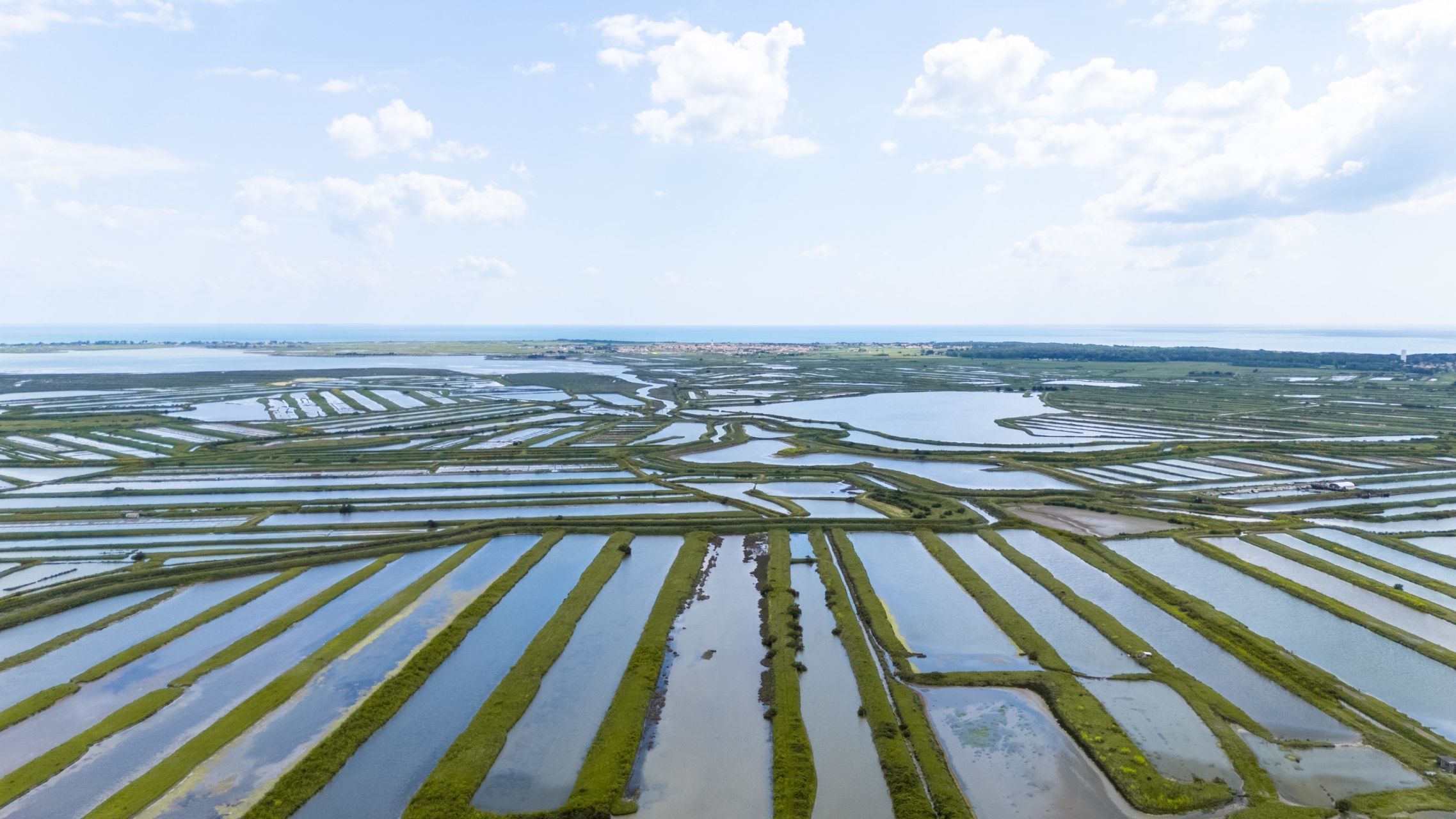 prestigious house 6 Rooms for sale on LES PORTES EN RE (17880)