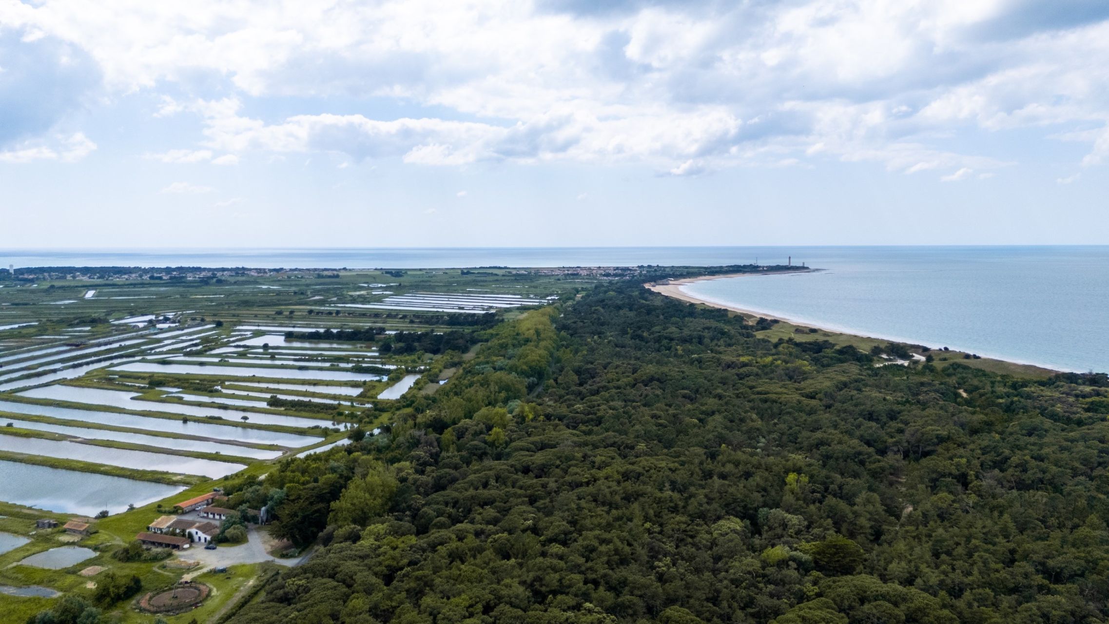 prestigious house 6 Rooms for sale on LES PORTES EN RE (17880)