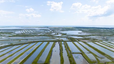 Sale Prestigious house Les Portes-en-Ré 6 Rooms 178 m²