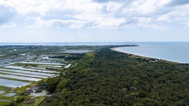 prestigious house 6 Rooms for sale on LES PORTES EN RE (17880)