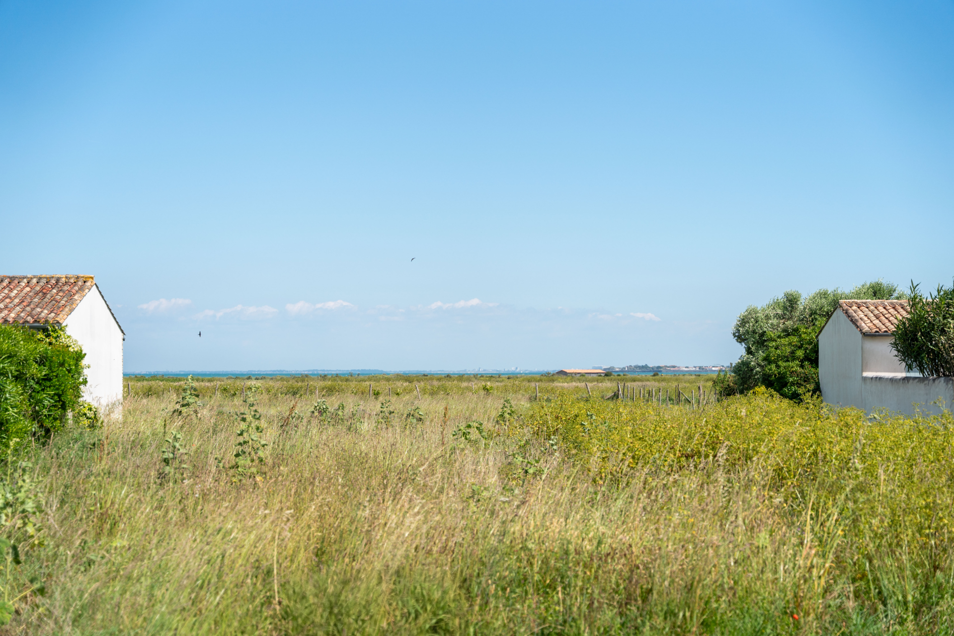 land for sale on LOIX (17111)