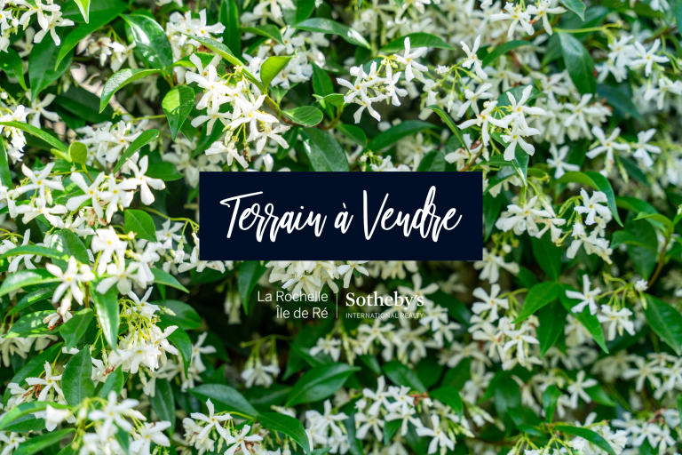 land for sale on LOIX (17111)
