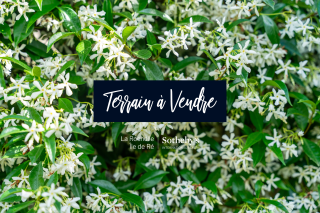 land for sale on LOIX (17111)