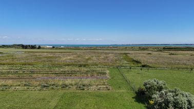 land for sale on LOIX (17111)