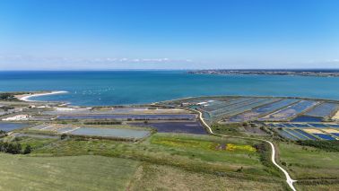 land for sale on LOIX (17111)