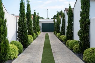 prestigious house 10 Rooms for sale on STE MARIE DE RE (17740)