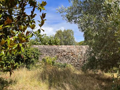 Sale Prestigious house Le Bois-Plage-en-Ré 6 Rooms 138 m²