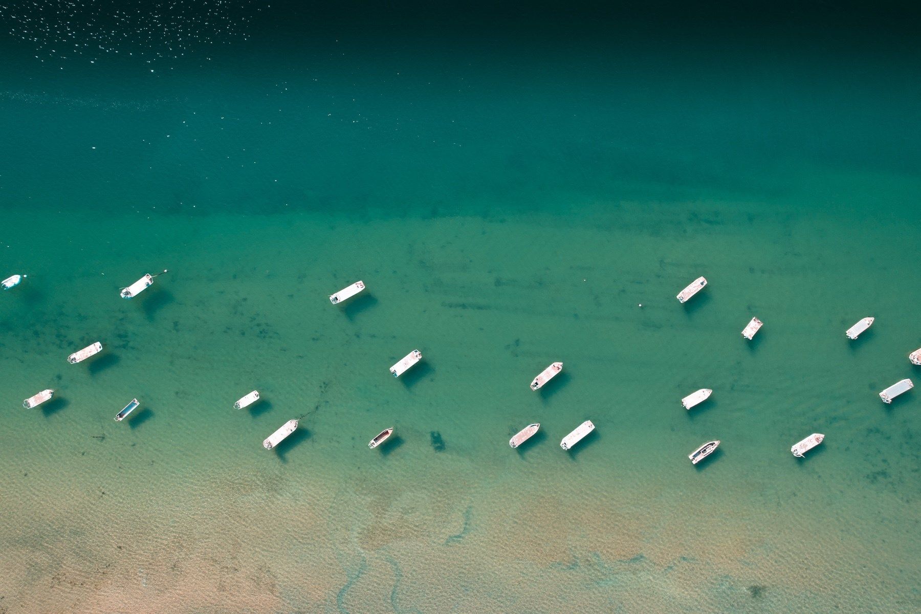 maison de prestige 8 Pièces en vente sur LES PORTES EN RE (17880)