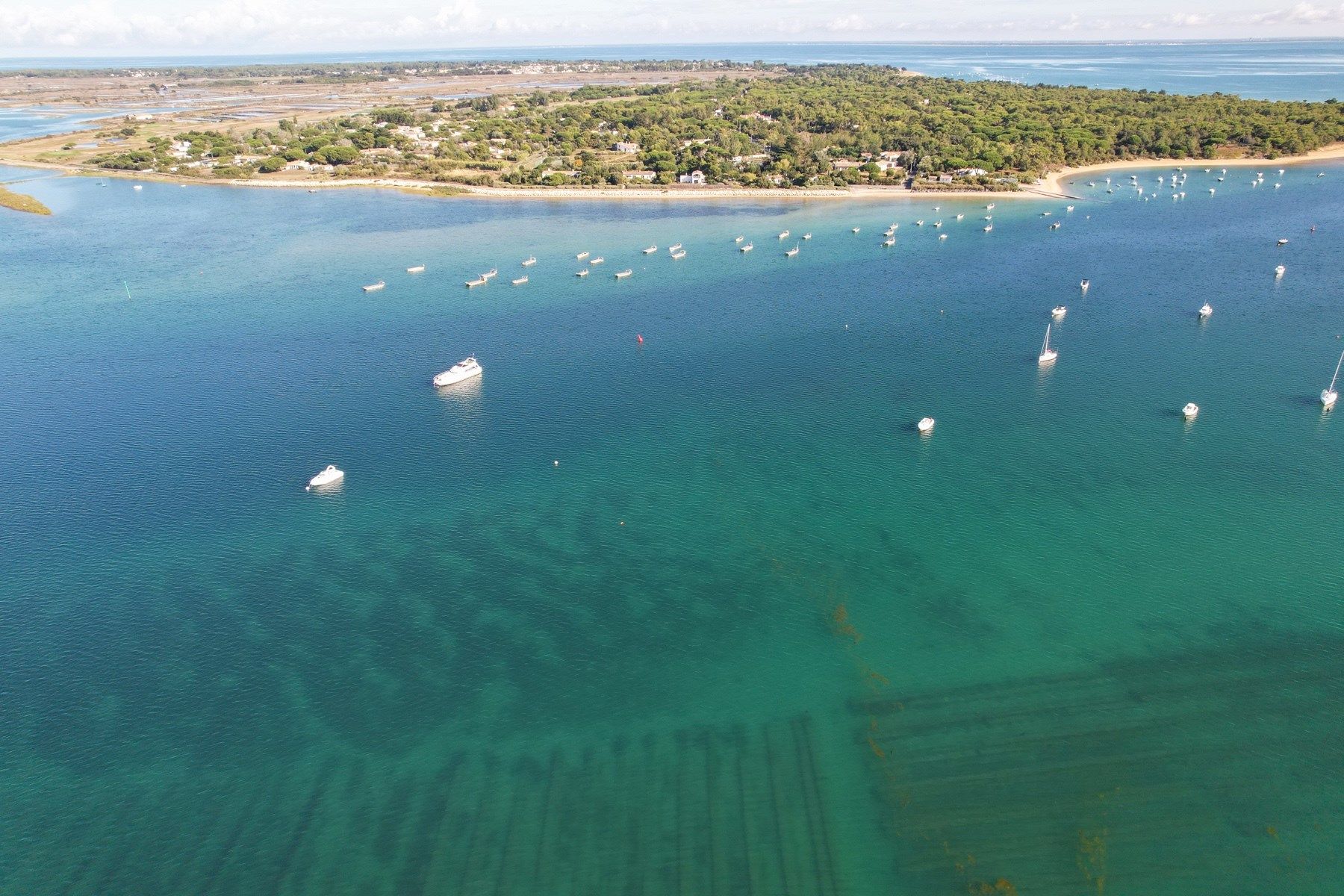 maison de prestige 8 Pièces en vente sur LES PORTES EN RE (17880)