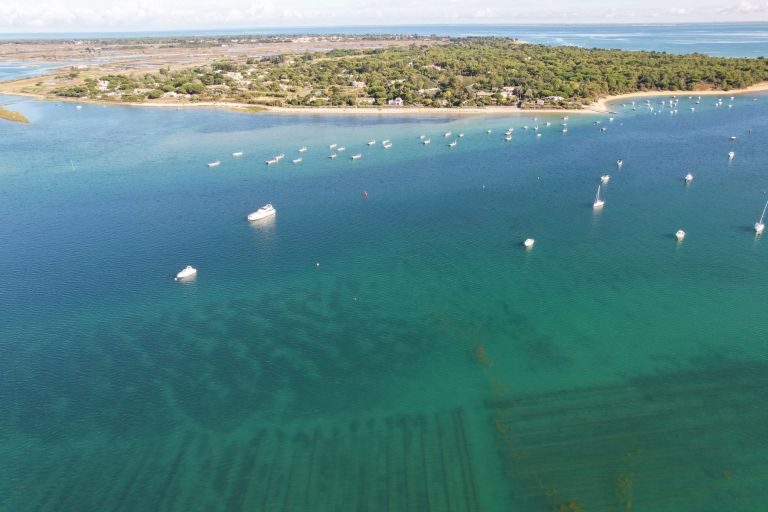 maison de prestige 8 Pièces en vente sur LES PORTES EN RE (17880)