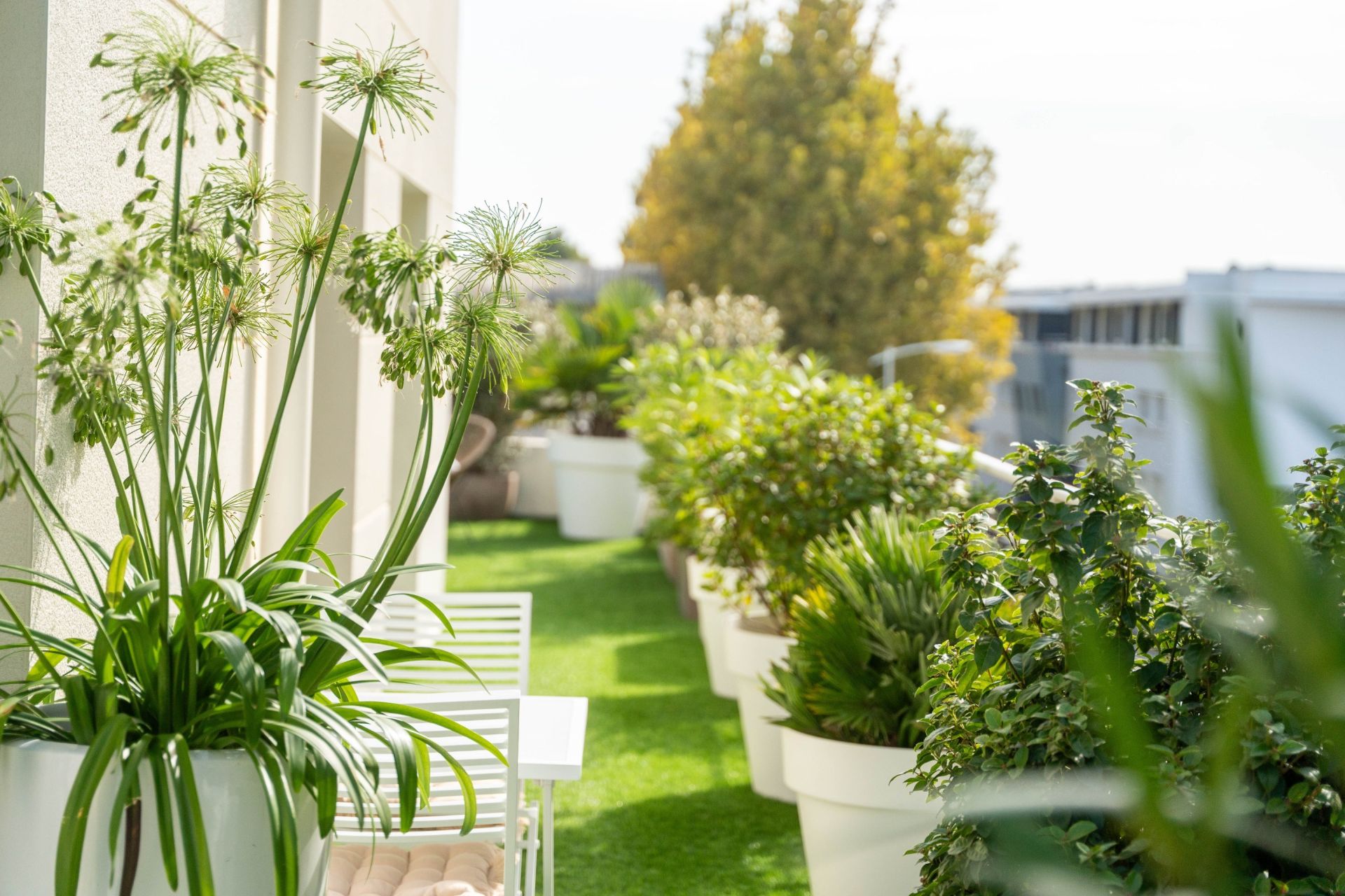 appartement de prestige 3 Pièces en vente sur LA ROCHELLE (17000)
