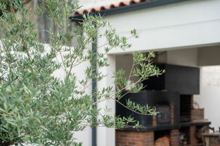 prestigious house 6 Rooms for sale on BREUIL MAGNE (17870)