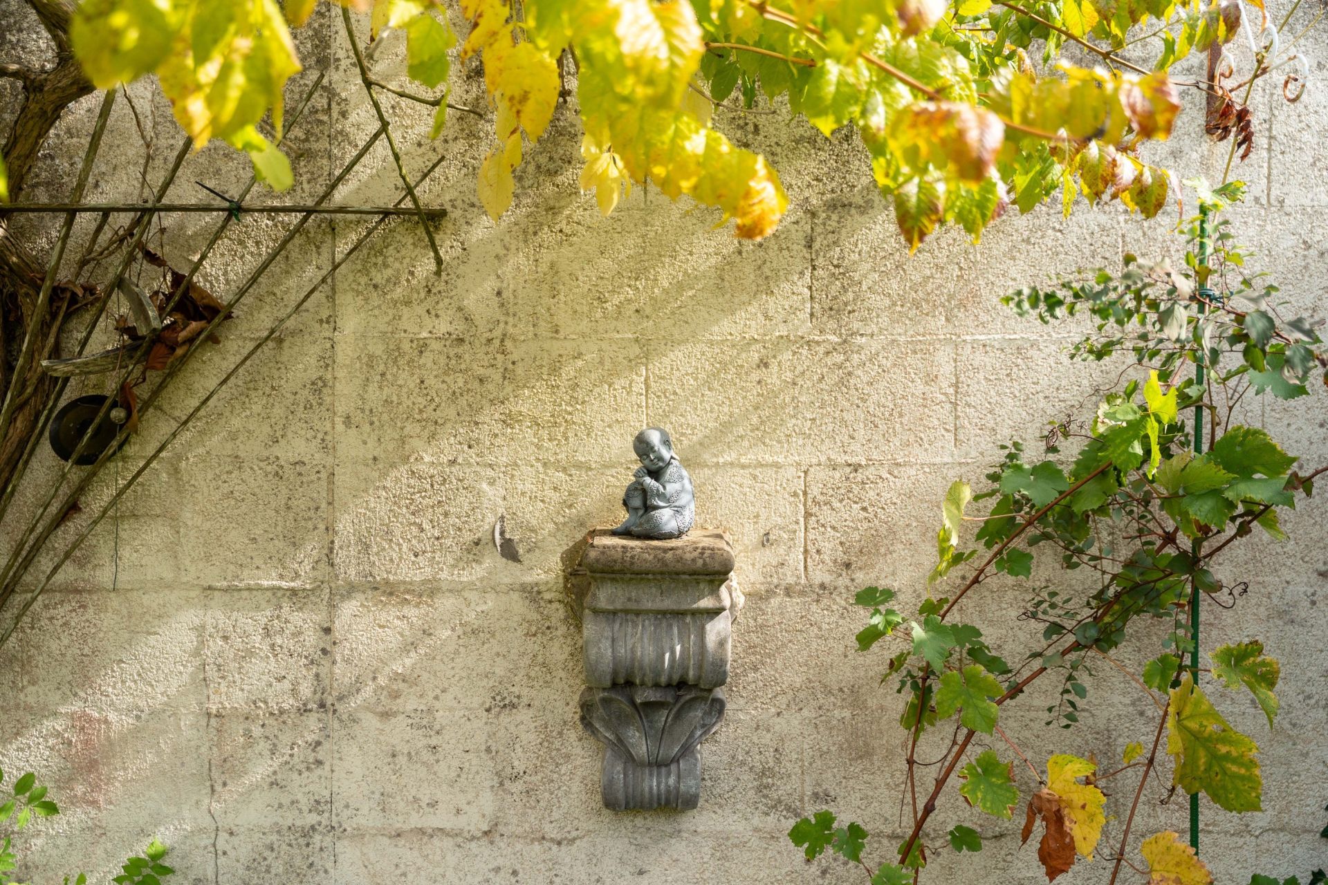 prestigious house 5 Rooms for sale on NIEUL SUR MER (17137)