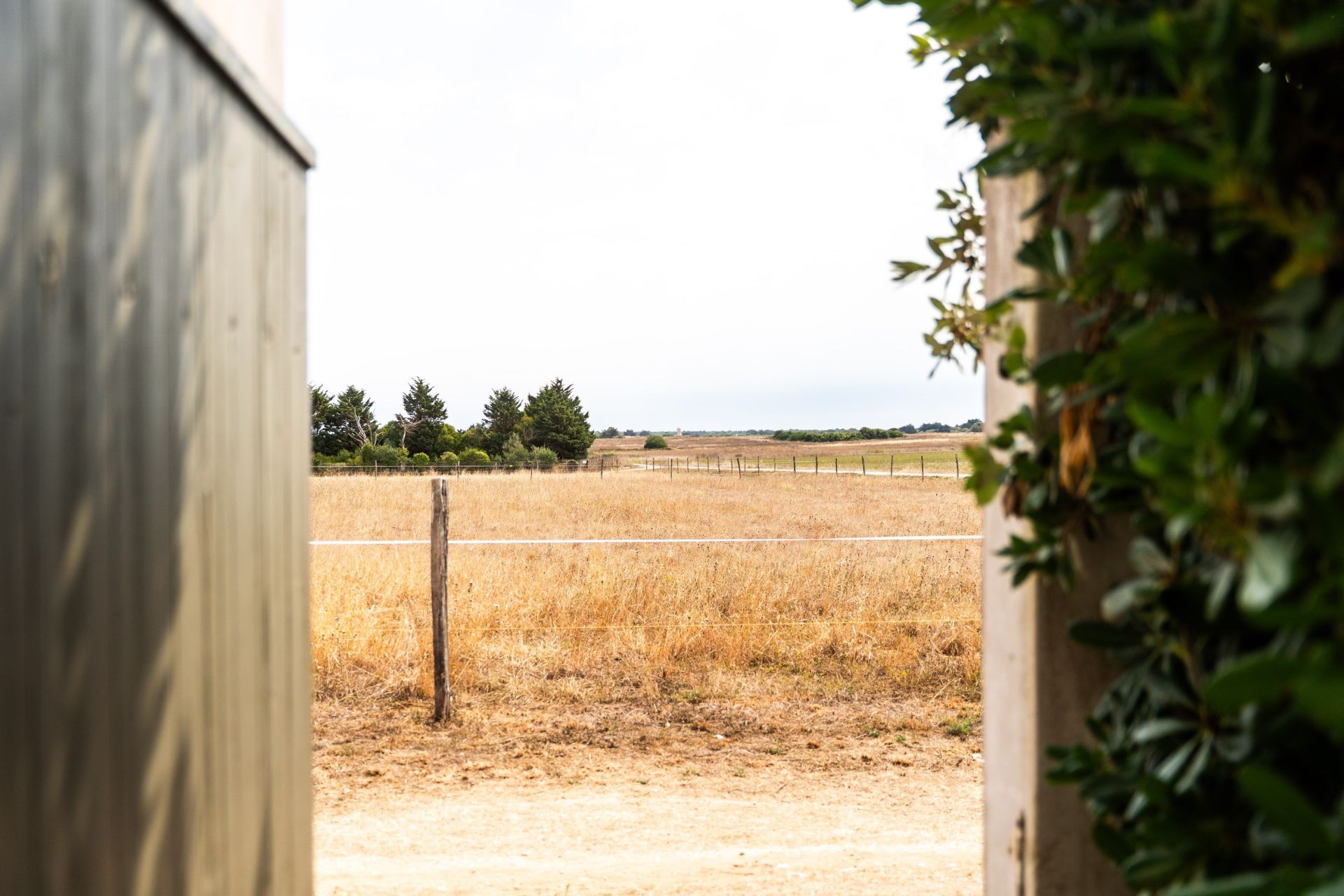 prestigious house 8 Rooms for sale on ST MARTIN DE RE (17410)