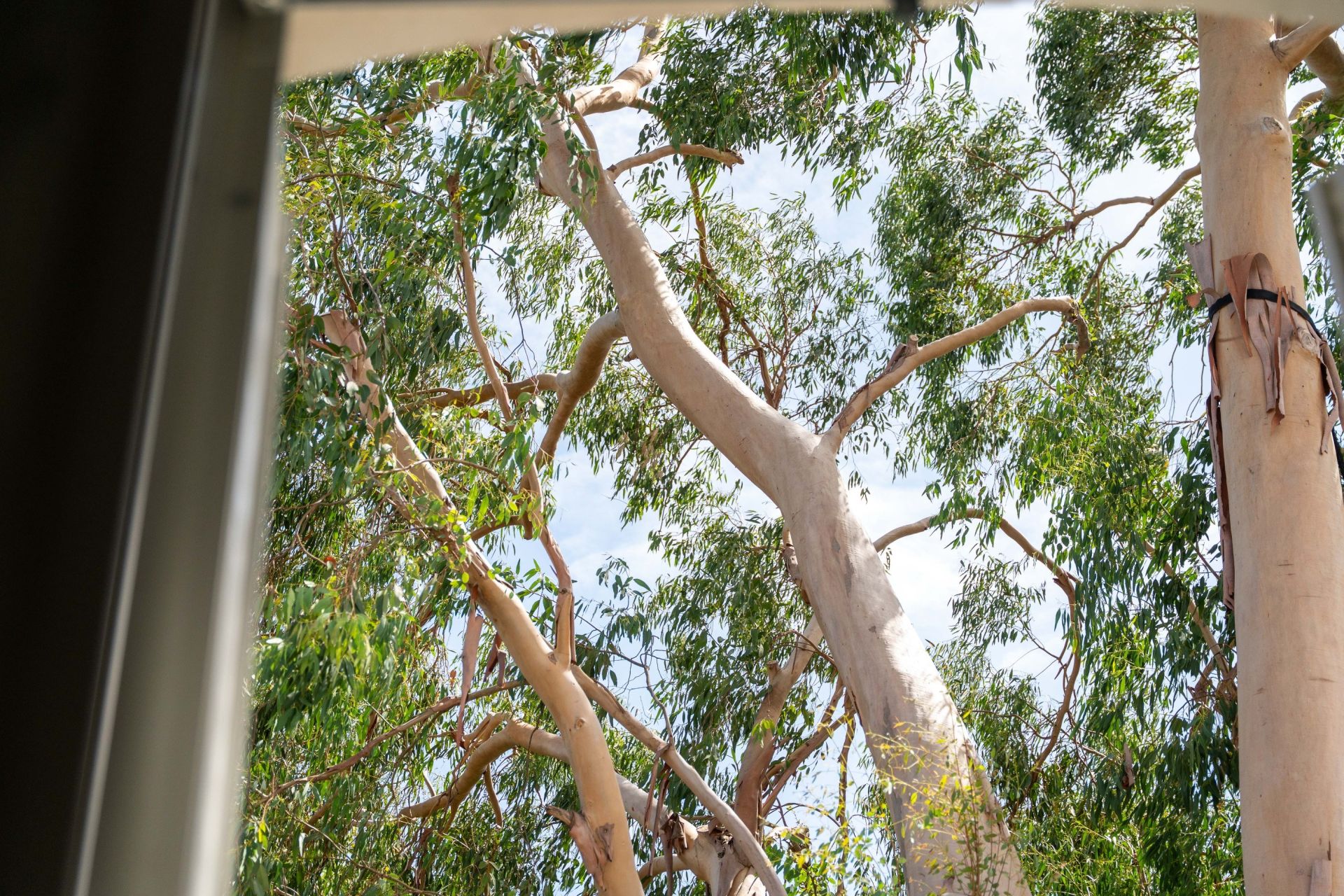 maison bourgeoise de prestige 7 Pièces en vente sur LA ROCHELLE (17000)