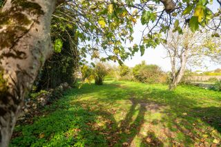 maison de prestige 7 Pièces en vente sur LOIX (17111)