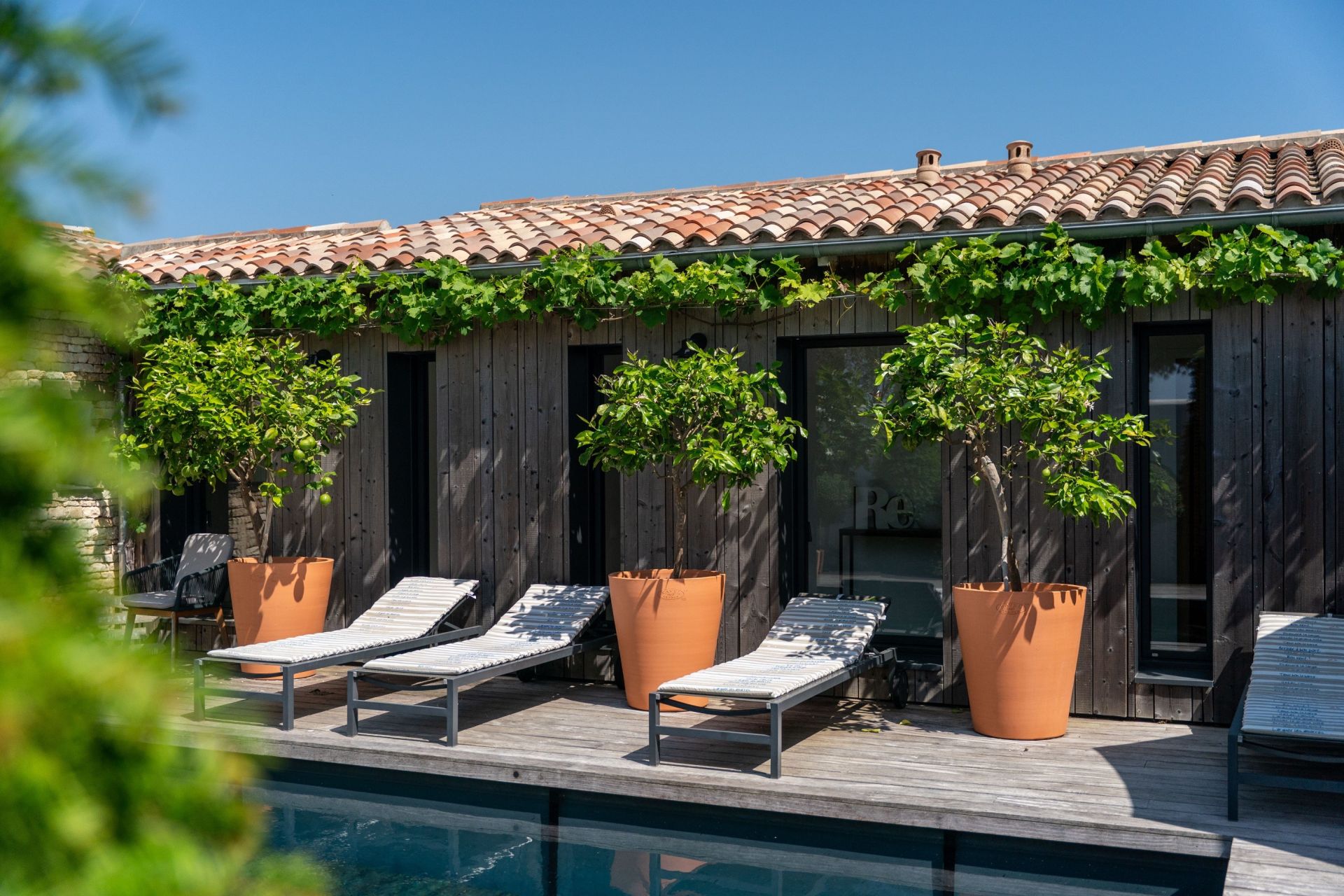 prestigious house 9 Rooms for sale on STE MARIE DE RE (17740)