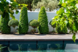 prestigious house 9 Rooms for sale on STE MARIE DE RE (17740)