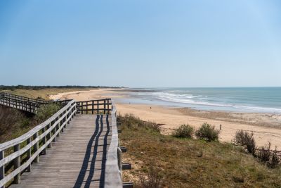 Sale Prestigious house Le Bois-Plage-en-Ré 14 Rooms 315 m²