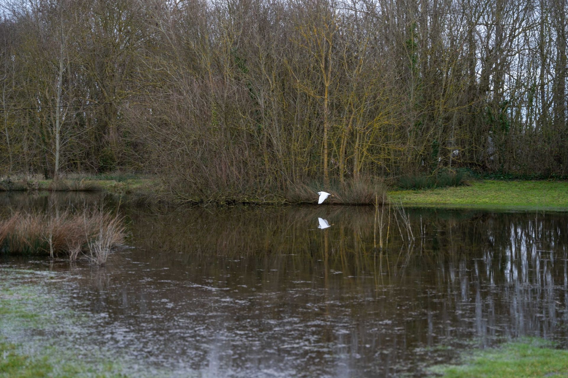 prestigious property 7 Rooms for sale on CHATELAILLON PLAGE (17340)