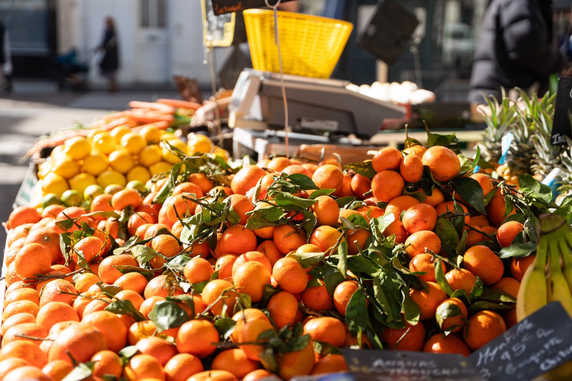 appartement de prestige 3 Pièces en vente sur LA ROCHELLE (17000)