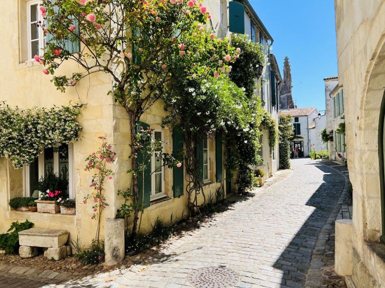 maison de prestige 5 Pièces en vente sur ST MARTIN DE RE (17410)