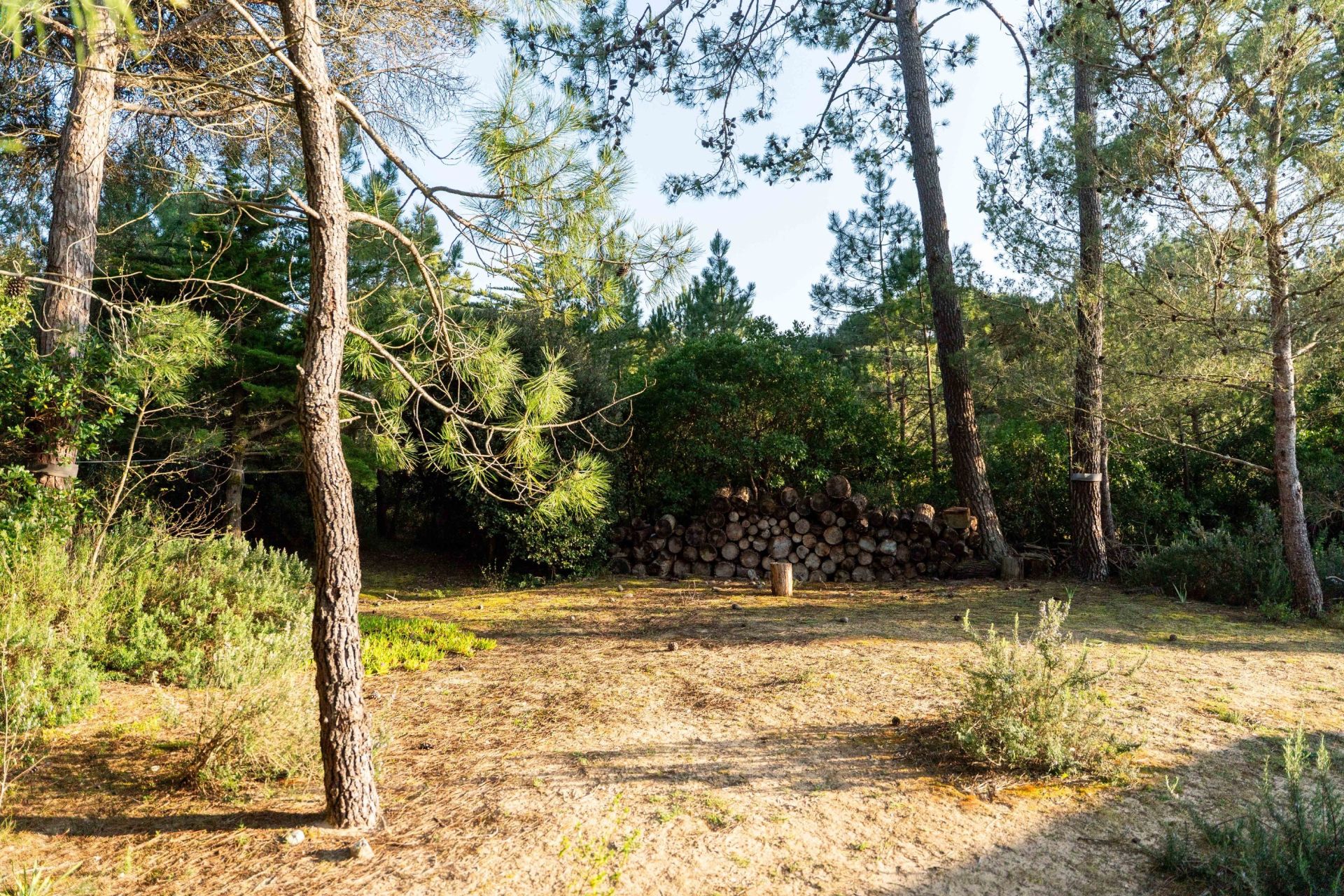 maison de prestige 9 Pièces en vente sur LES PORTES EN RE (17880)