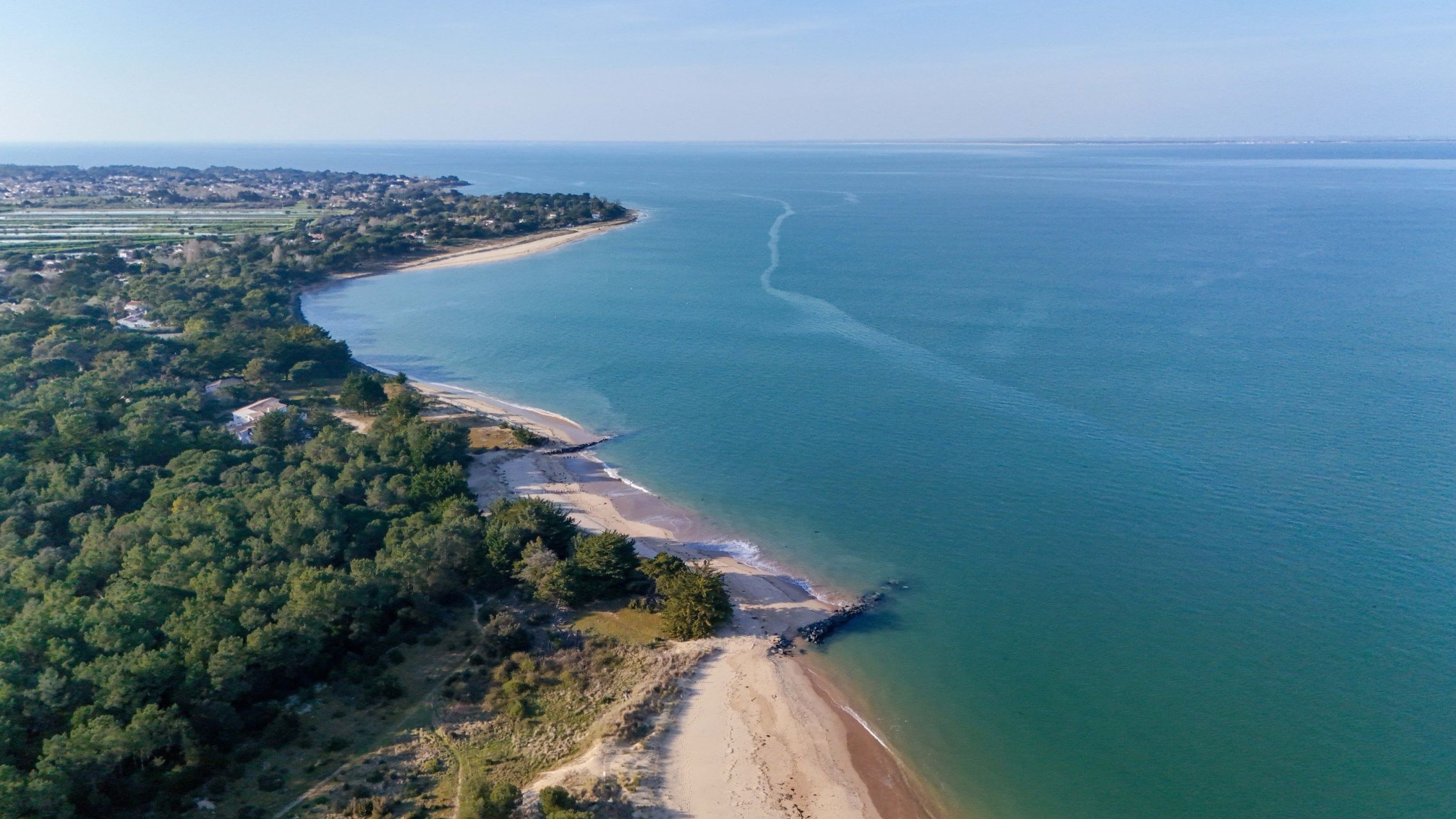 maison de prestige 9 Pièces en vente sur LES PORTES EN RE (17880)