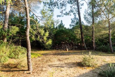 Vente Maison de prestige Les Portes-en-Ré 9&nbsp;Pièces 210&nbsp;m²