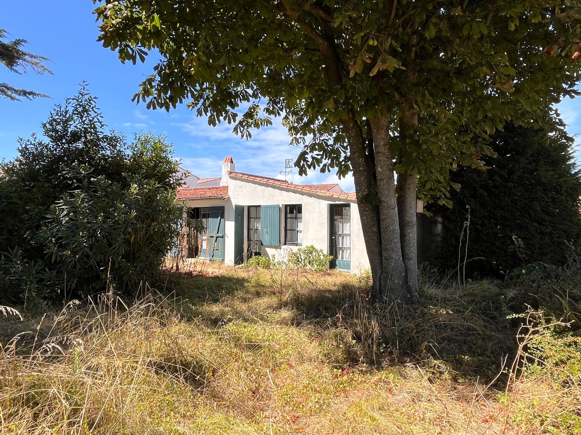 maison de prestige 6 Pièces en vente sur LE BOIS PLAGE EN RE (17580)