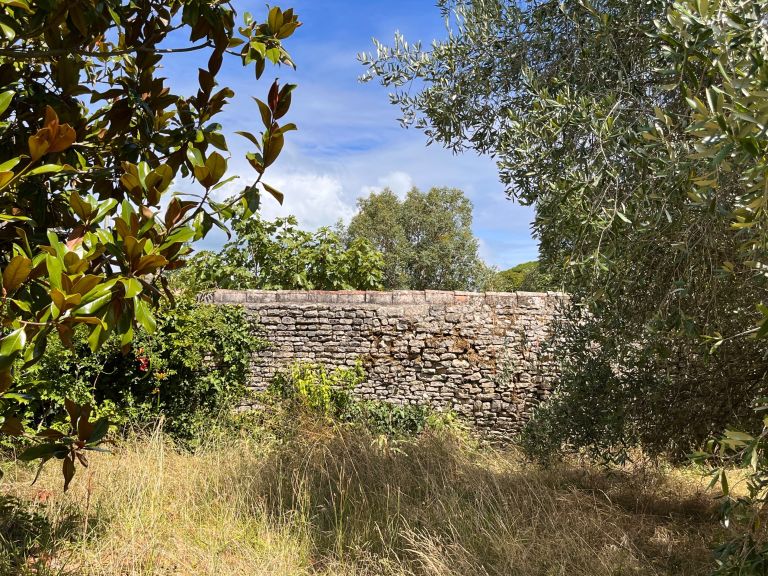 maison de prestige 6 Pièces en vente sur LE BOIS PLAGE EN RE (17580)