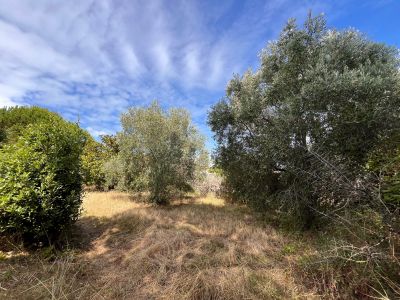 Vente Maison de prestige Le Bois-Plage-en-Ré 6&nbsp;Pièces 125&nbsp;m²