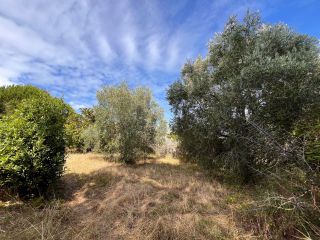 maison de prestige 6 Pièces en vente sur LE BOIS PLAGE EN RE (17580)