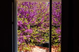 maison de prestige 6 Pièces en vente sur LA ROCHELLE (17000)