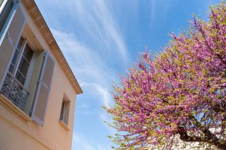 prestigious house 6 Rooms for sale on AYTRE (17440)