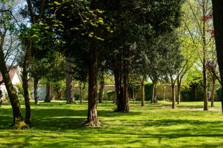 prestigious house 6 Rooms for sale on AYTRE (17440)