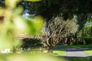 prestigious house 6 Rooms for sale on AYTRE (17440)