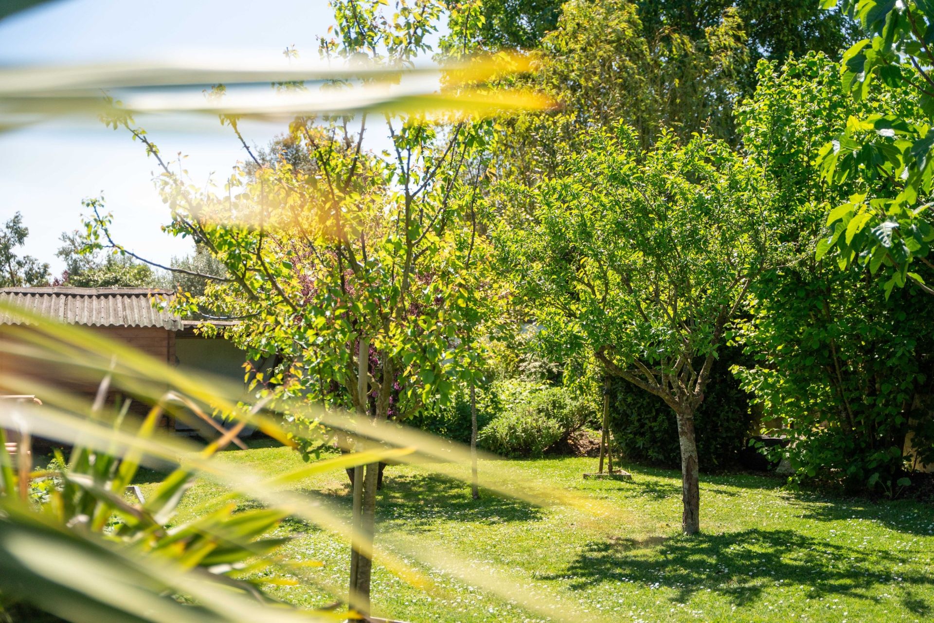 maison de prestige 7 Pièces en vente sur DOMPIERRE SUR MER (17139)