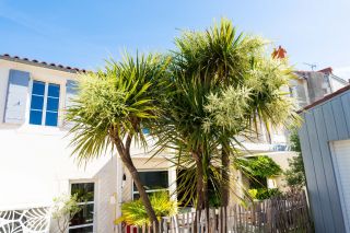 maison de prestige 4 Pièces en vente sur LA ROCHELLE (17000)