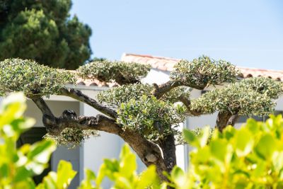 Sale Prestigious house Le Bois-Plage-en-Ré 9&nbsp;Rooms 260&nbsp;m²