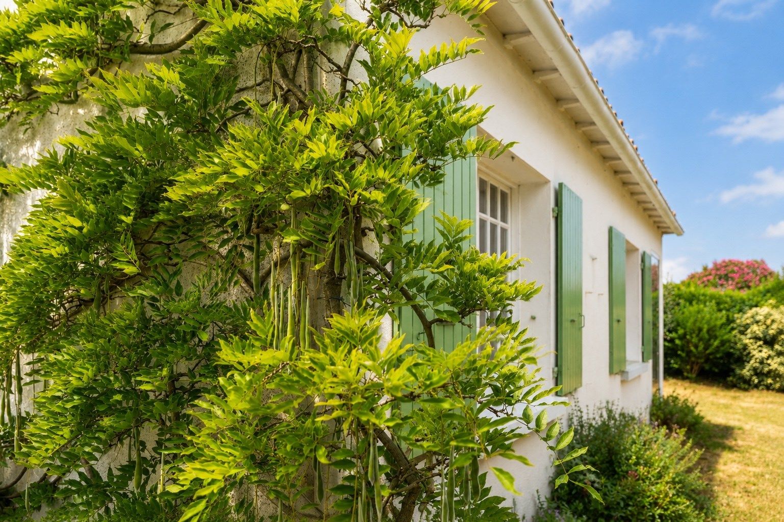 maison de prestige 5 Pièces en vente sur LOIX (17111)