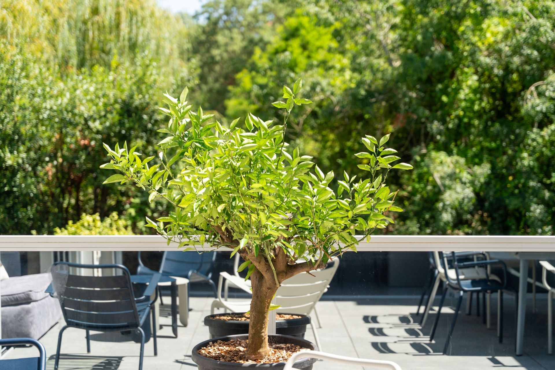 maison de prestige 6 Pièces en vente sur LA ROCHELLE (17000)