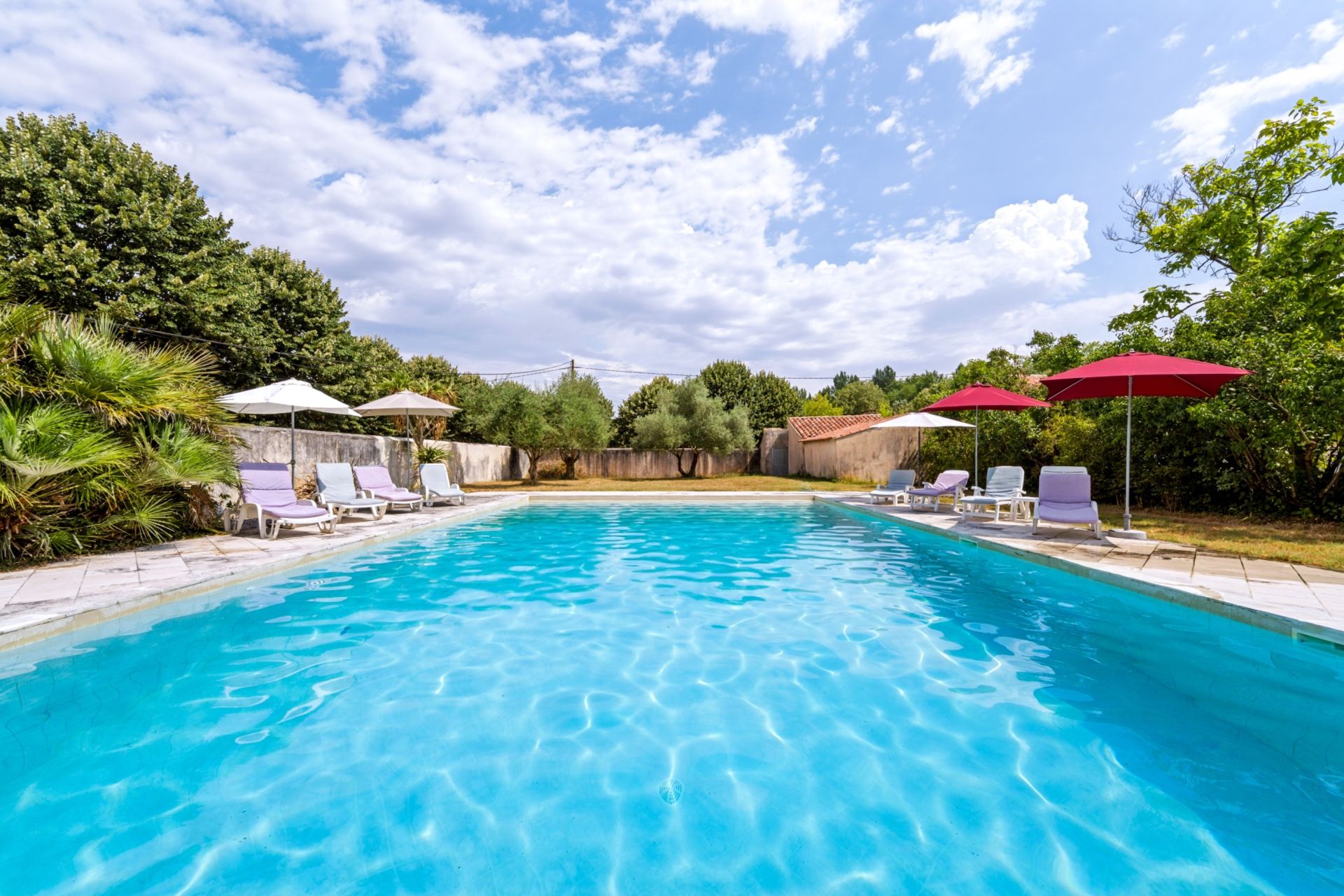 prestigious house 17 Rooms for sale on ST HIPPOLYTE (17430)