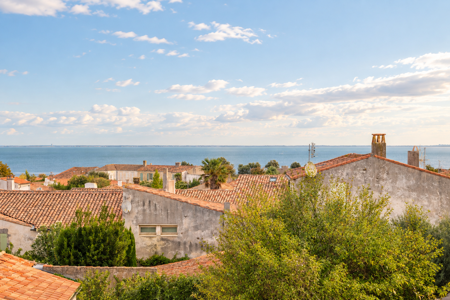 prestigious house 9 Rooms for sale on ST MARTIN DE RE (17410)