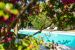 prestigious house 11 Rooms for sale on ST MARTIN DE RE (17410)
