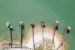 prestigious house 10 Rooms for sale on LA ROCHELLE (17000)