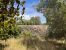 Sale Prestigious house Le Bois-Plage-en-Ré 6 Rooms 138 m²